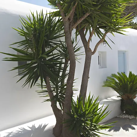 Paradise View Szálloda